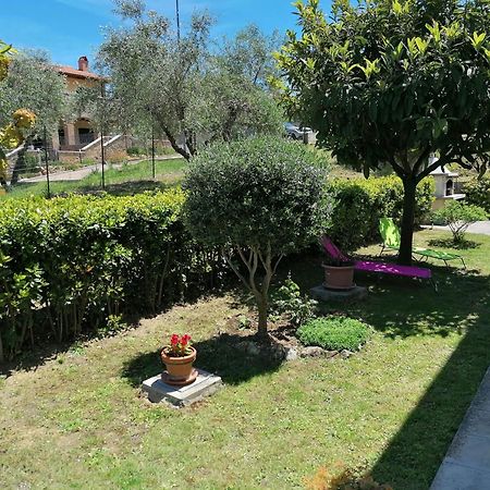 Goccia In Valdorcia Smart Home San Quirico dʼOrcia Dış mekan fotoğraf