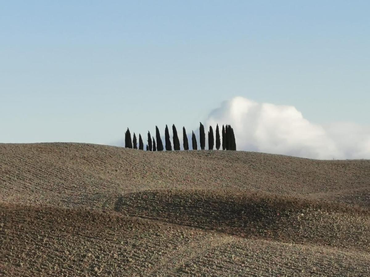 Goccia In Valdorcia Smart Home San Quirico dʼOrcia Dış mekan fotoğraf