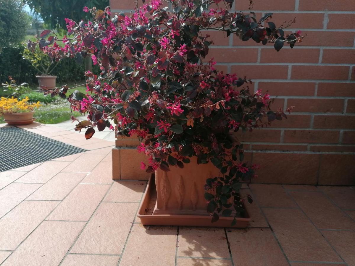 Goccia In Valdorcia Smart Home San Quirico dʼOrcia Dış mekan fotoğraf