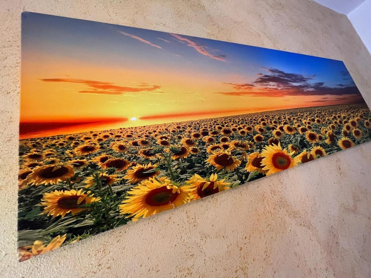 Goccia In Valdorcia Smart Home San Quirico dʼOrcia Dış mekan fotoğraf